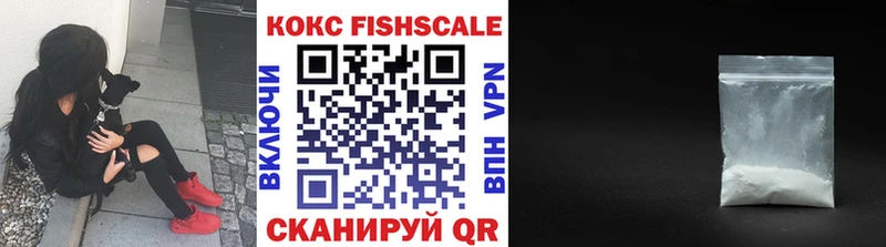 Купить  Пустошка  COCAIN FishScale 