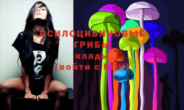 apvp Медвежьегорск